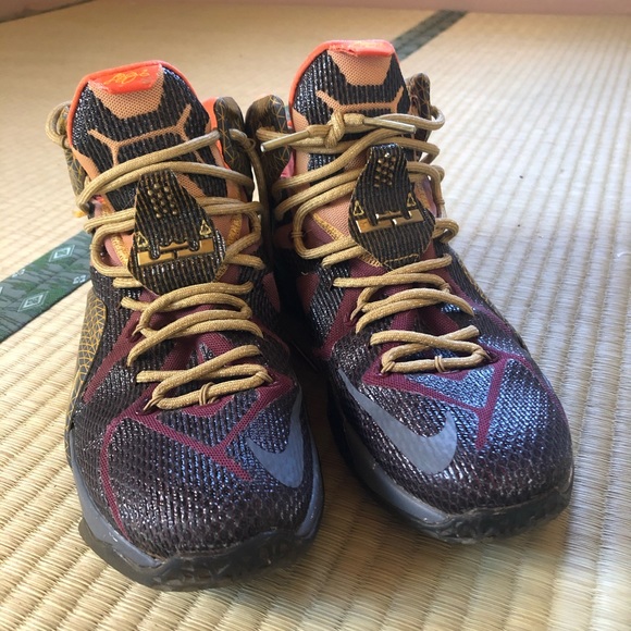 custom lebrons